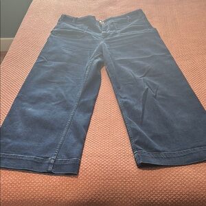 The Colette Crop High-Rise Wide-Leg Jeans by Maeve